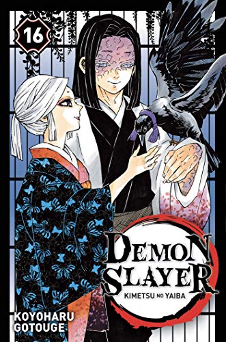 Demon slayer T.16 : Demon slayer