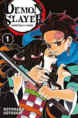 Demon slayer t.01